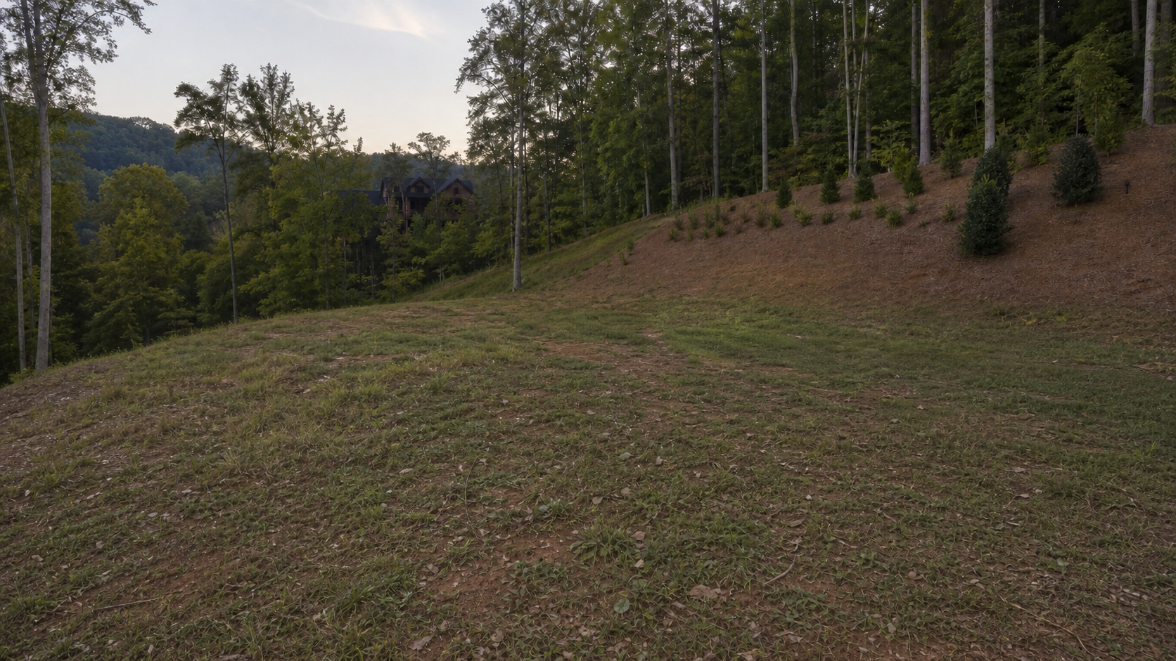 Unused residential lawn before a private court concept